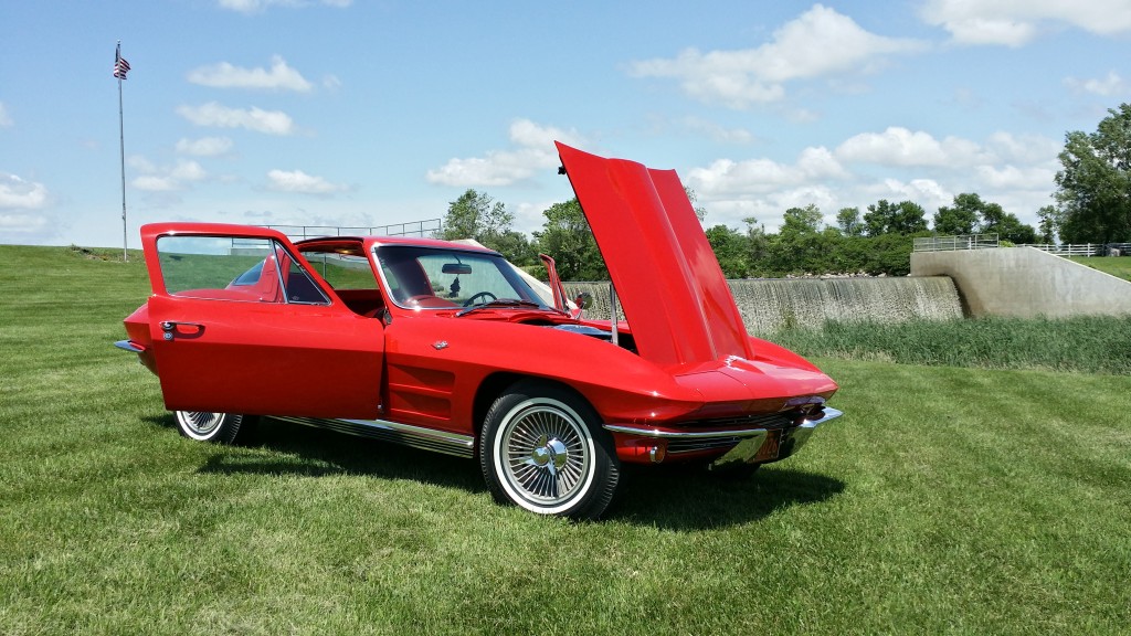 A red corvette parked on a grassy field.