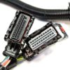 A '08 LS2 (6.0L) 58X STANDALONE WIRING HARNESS W/T56/TR6060 with two wires connected to each other.