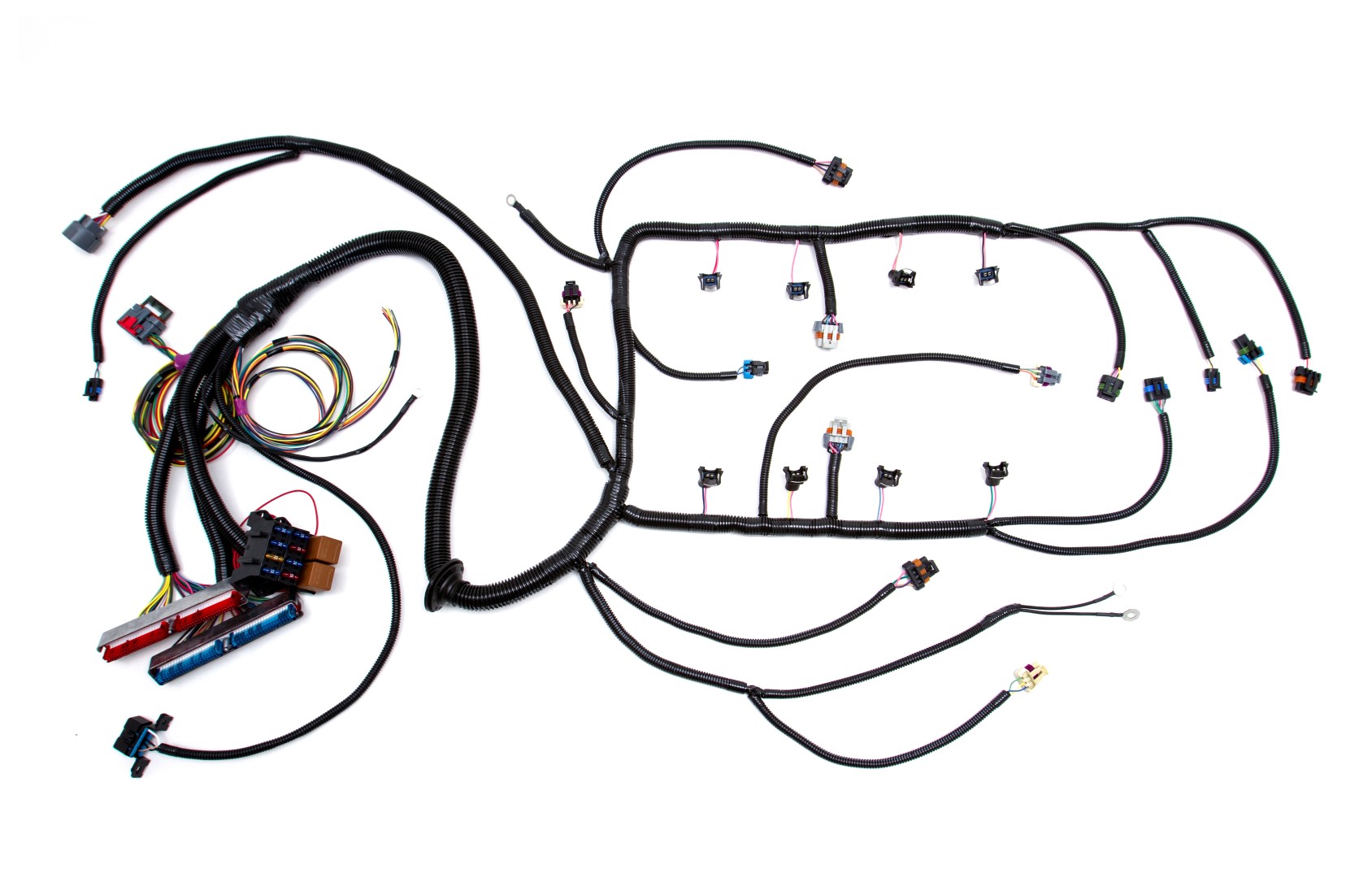 '97 - '04 LS1 W/ 4L60E STANDALONE WIRING HARNESS (DBW) - Custom Image