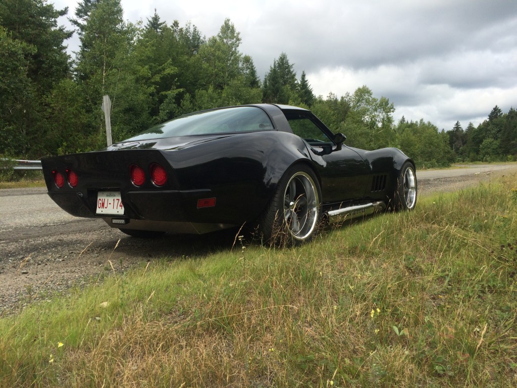 sleek black corvette parked near grass